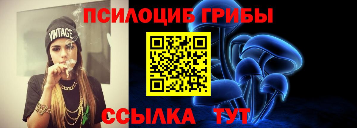 Ухта  Псилоцибиновые грибы GOLDEN TEACHER  Вход с VPN 